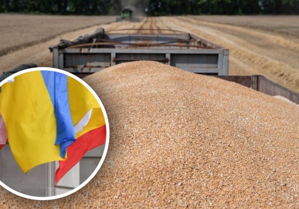 5 стран начинают вставлять палки в колеса: они недовольны экспортом украинского зерна