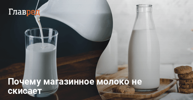 Почему скисает молоко? | Статьи ООО Укрвет