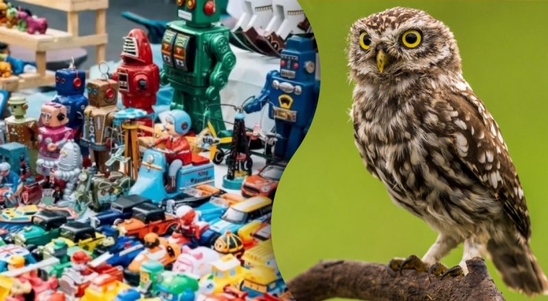Безумная загадка для сообразительных: нужно найти куклу-сову за 15 секунд