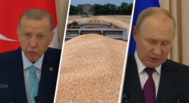 Эрдоган и Путин не смогли договориться о возобновлении "зерновой сделки"
