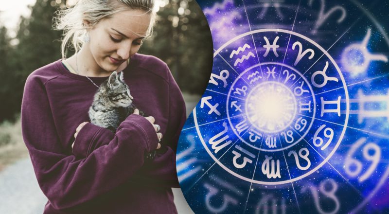 Гороскоп на завтра 9 сентября 2023: Близнецам – забота, Девам - поддержка