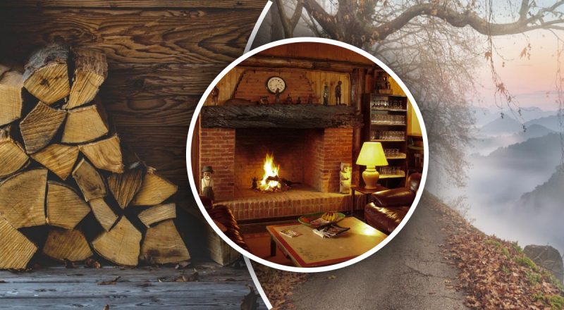 Какими дровами нельзя топить печь и камин, чтобы не забить дымоход