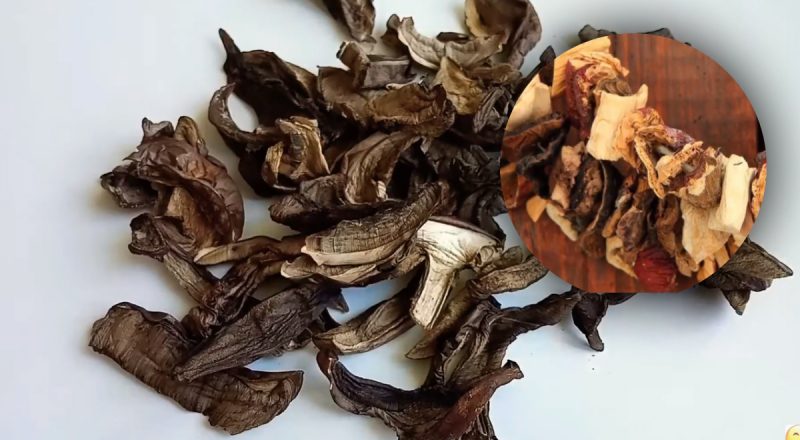 На балконе, в духовке и сушилке: как правильно засушить грибы на зиму проверенными методами