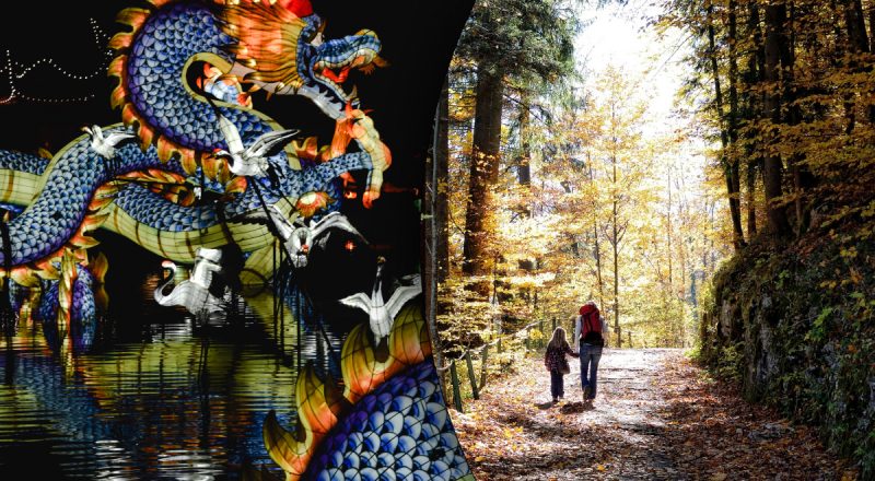 Китайский гороскоп на завтра 20 сентября 2023: Драконам - счастье, Змеям - конфликт