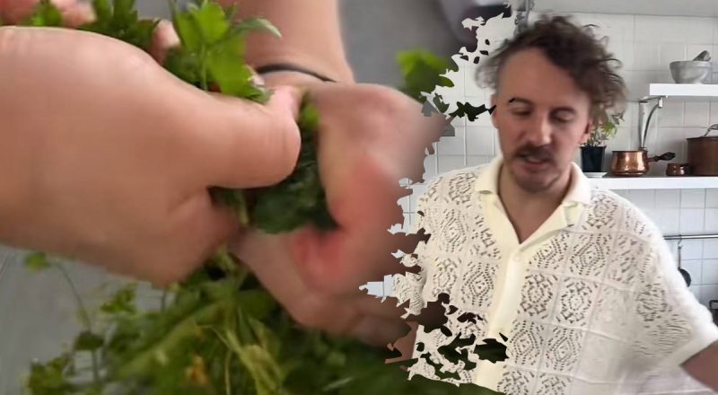 Пара минут и готово: Клопотенко показал, как заморозить зелень легко и просто