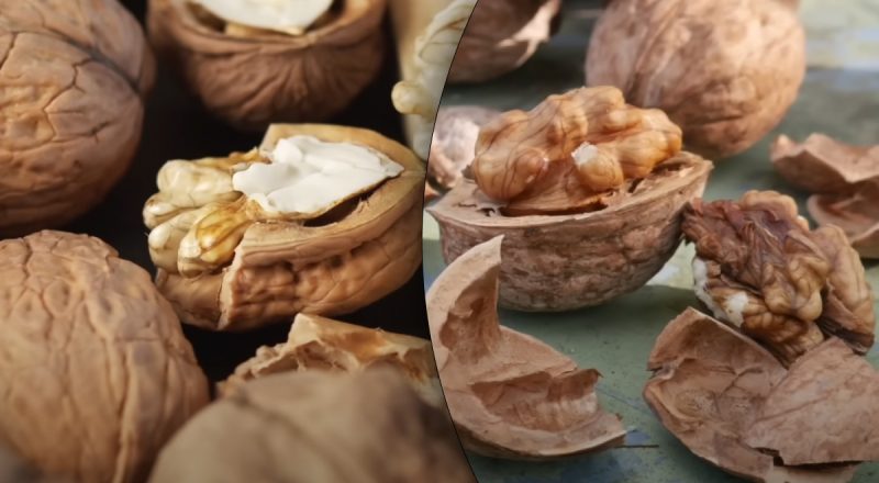 Ореховая скорлупа - настоящая находка: что из нее делают знающие люди