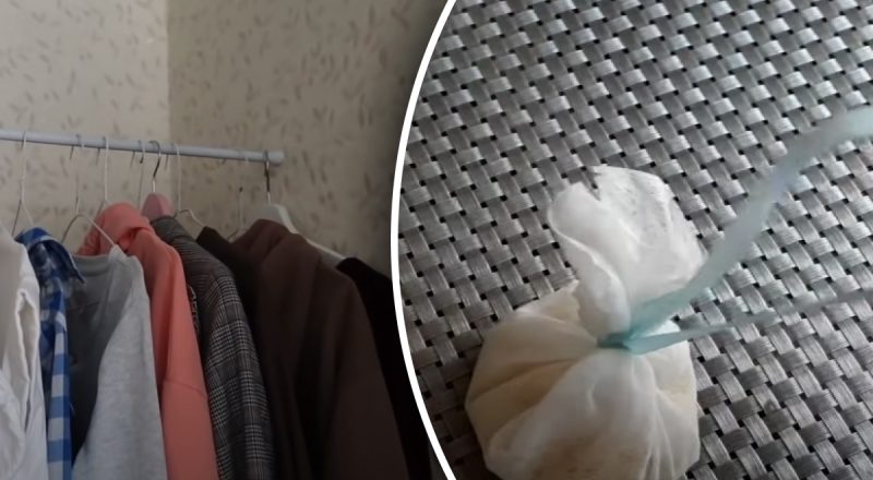 Чего больше всего боится моль: что положить в шкаф, чтобы спасти вещи