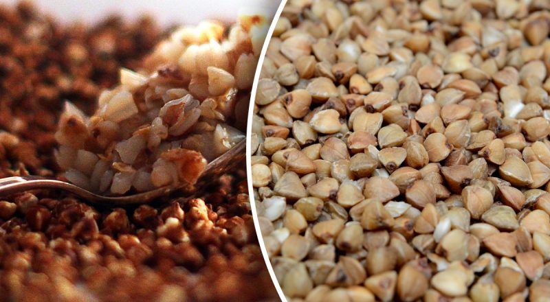 І таке буває: як зрозуміти, що зіпсувалася гречка