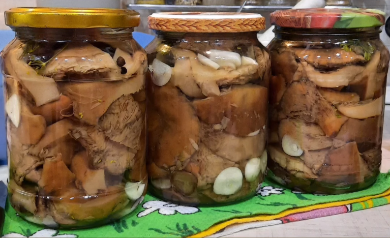 Будуть радувати всю зиму: як засолити і замаринувати рижики в домашніх умовах, 4 способи Будуть радувати всю зиму: як засолити і замаринувати рижики в домашніх умовах, 4 способи