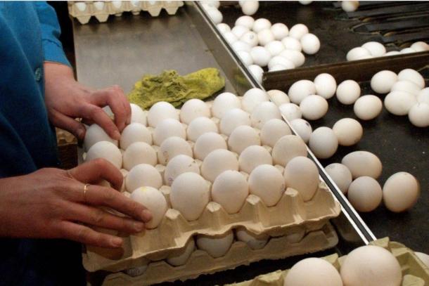 Чи варто чекати стрибків курсу долара і зростання цін на продукти: прогнози експертів