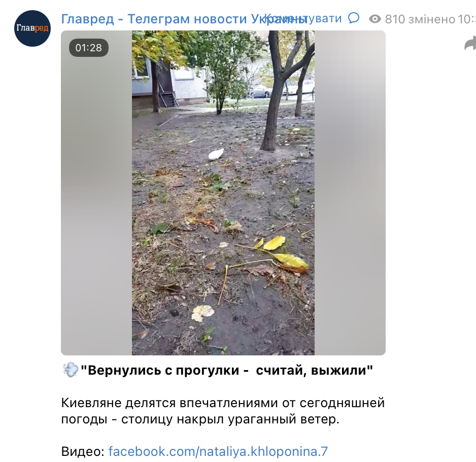 Кияни скаржаться на дуже сильний вітер