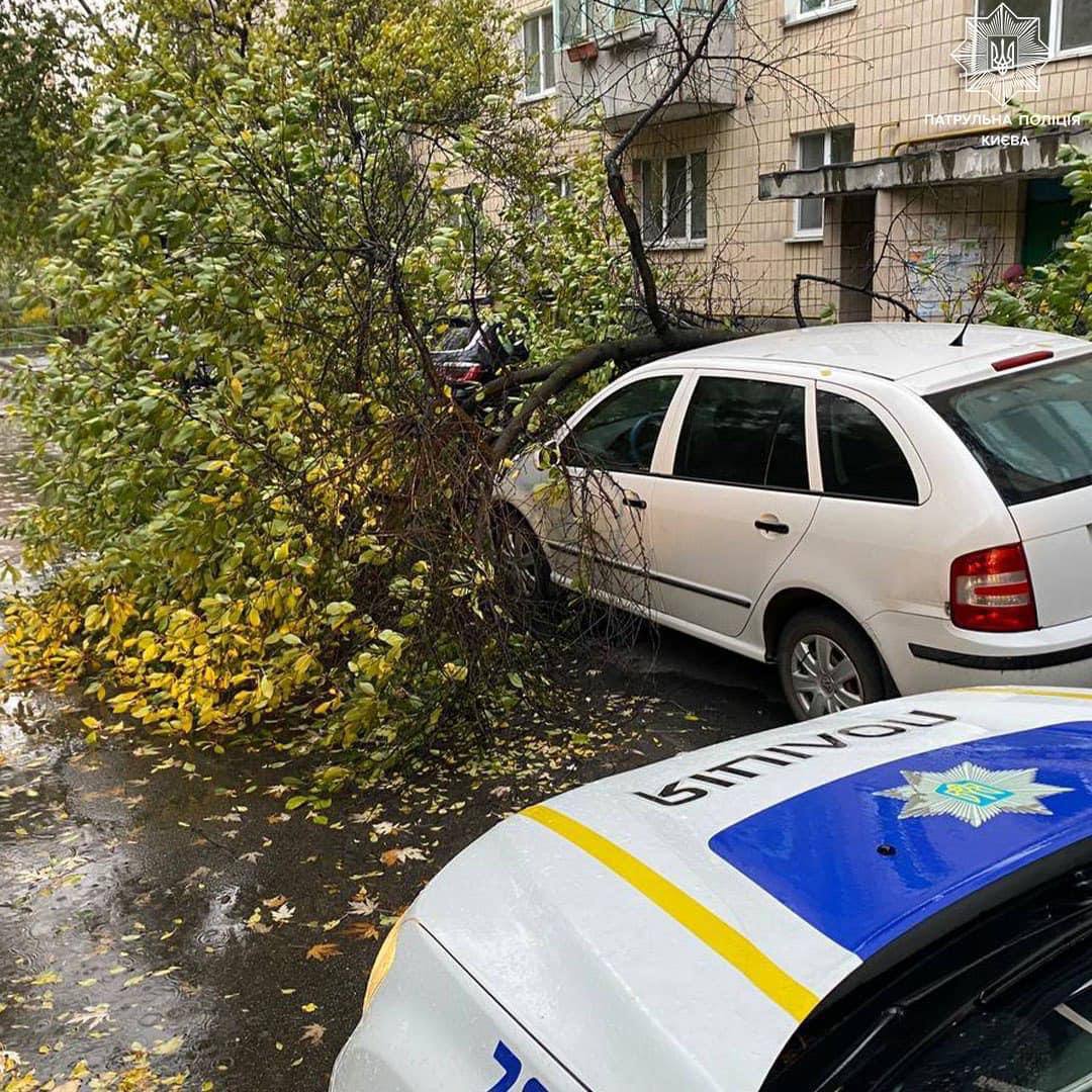 Ураган в Киеве убил два человека: все подробности непогоды в столице -  Главред