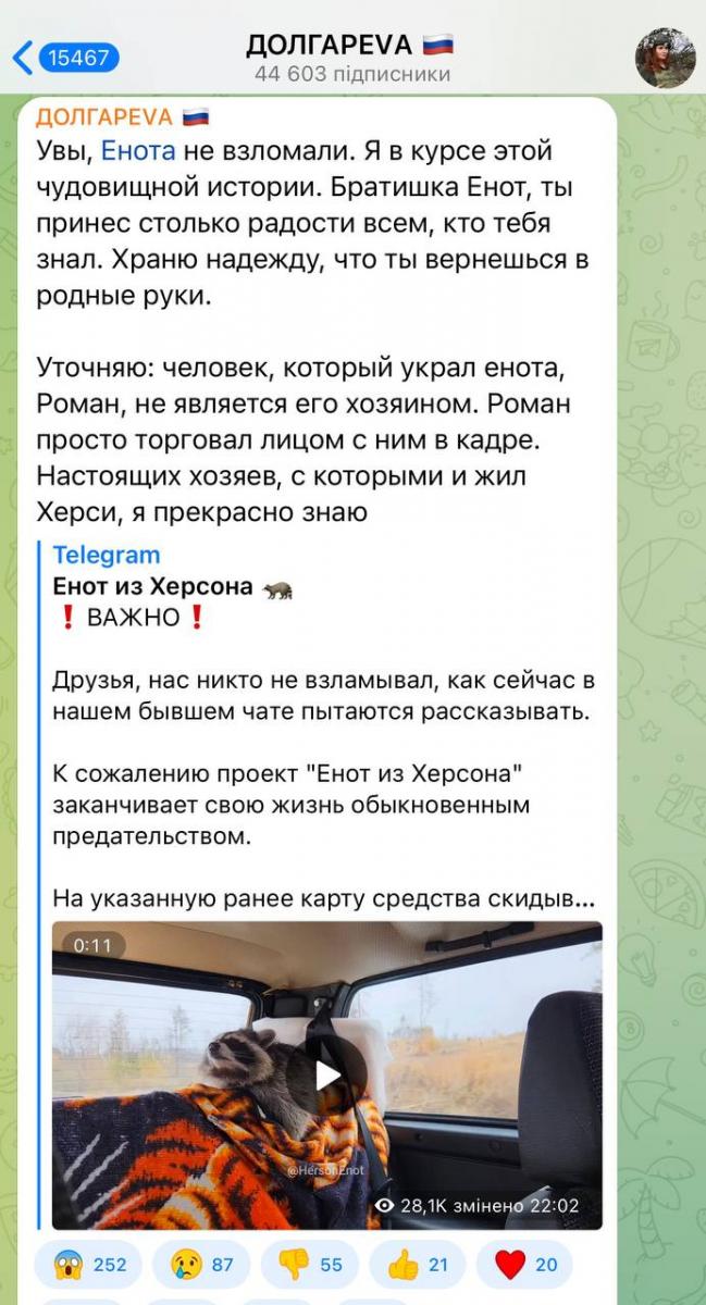 Обдурив усіх і втік: новий поворот в історії вкраденого з Херсона єнота Обдурив усіх і втік: новий поворот в історії вкраденого з Херсона єнота