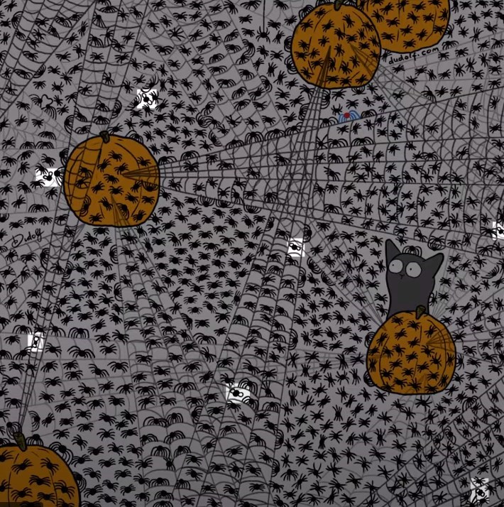 розгадка розгадка