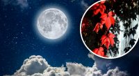 Місячний день 5 жовтня: про яку небезпеку попереджає супутник в цей день