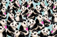 Головоломка для тих, у кого зір, як у орла: треба знайти пінгвіна за 7 секунд