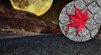 Лунный календарь на ноябрь 2023: когда лучше всего планировать свадьбу и стричься