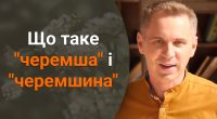 Що таке черемша і черемшина: мовознавець закликав не плутати слова