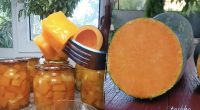 На вкус будет как манго: как законсервировать тыкву с апельсином на зиму