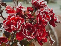 Які гроші не можна витрачати 31 жовтня, щоб не було біди: прикмети дня