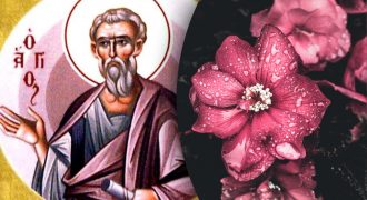 Какой сегодня праздник 4 октября:  кого нужно поздравить в этот день
