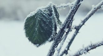 Будут заморозки, а местами потепление: где температура воздуха повысится до +22