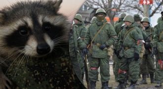 Обманул всех и сбежал: новый поворот в истории украденного из Херсона енота