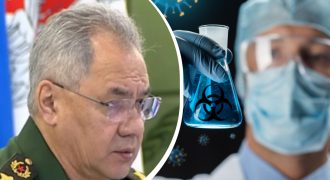 Боевые птицы "под чужим флагом": у Шойгу разразились фантазиями в адрес Украины