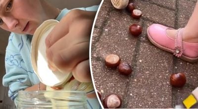 Жінка зробила пральний порошок з каштанів Жінка зробила пральний порошок з каштанів