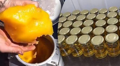 Де краще зберігати мед в домашніх умови Де краще зберігати мед в домашніх умови