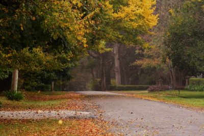 Дощі литимуть по всій Україні: синоптики попередили про небезпечну погоду