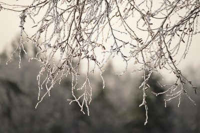 Вітер 15-20 метрів за секунду та сніг: синоптик розказала про погоду на вихідні Вітер 15-20 метрів за секунду та сніг: синоптик розказала про погоду на вихідні