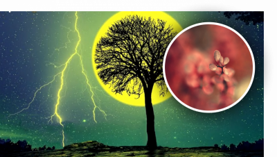 Місячний день 21 жовтня 2023: Місяць віщує сни, що збудуться, і підвищену чутливість