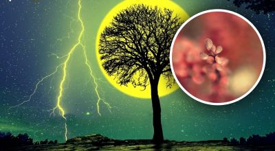 Лунный календарь 21 октября