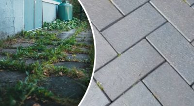 Прополювати більше не потрібно: простий та ефективний спосіб боротьби з бур’янами