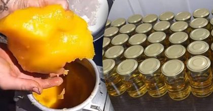 Где лучше хранить мед в домашних условиях: не испортится и не загустеет