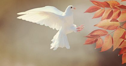Почему 17 октября нельзя мыться: приметы и запреты дня