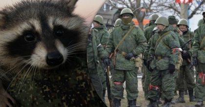 Обманул всех и сбежал: новый поворот в истории украденного из Херсона енота