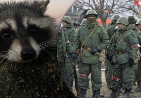 Обдурив усіх і втік: новий поворот в історії вкраденого з Херсона єнота