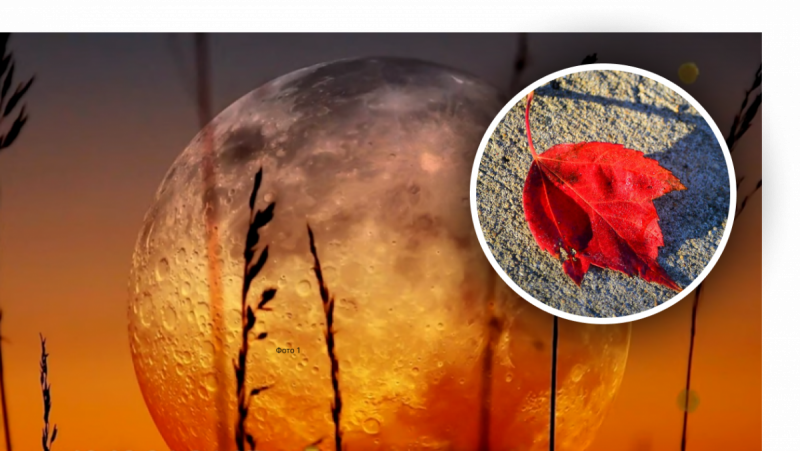 Лунный день 7 октября: мрачная энергетика Месяца вещует конфликты и даже драки