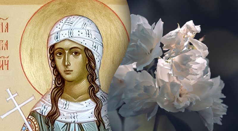 Какой сегодня праздник 7 октября:  кого нужно поздравить в этот день