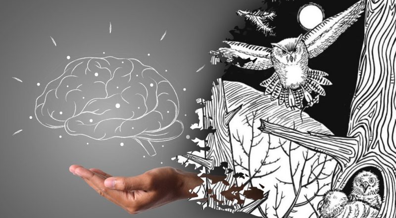 Найдите все за 1 минуту: необычный японский тест на старение мозга