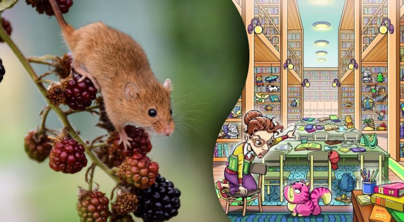 Потрібно знайти мишу в бібліотеці за 12 секунд: надзвичайна загадка для геніїв