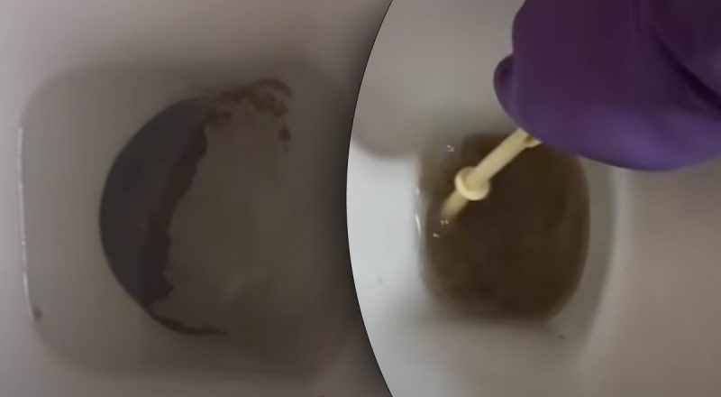 Эксперт назвала 2 самых мощных и дешевых чистящих средства для унитаза