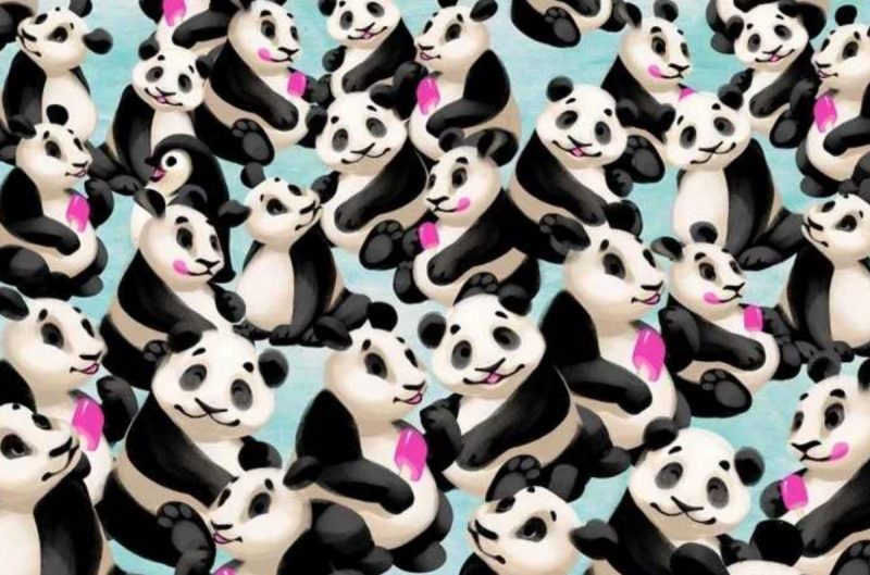 Головоломка для тех, у кого зрение, как у орла: надо найти пингвина за 7 секунд