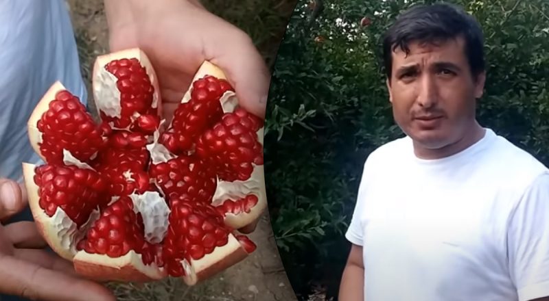 Це геніально просто: чоловік показав, як почистити гранат за хвилину