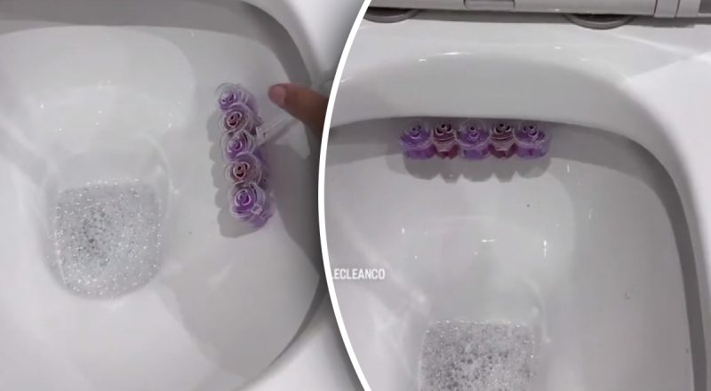 Не дякуйте: професіонал показала, як правильно чіпляти блок для унітазу