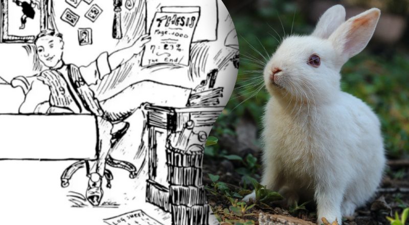 Лише одиниці знайдуть кролика за 10 секунд: заплутана оптична ілюзія