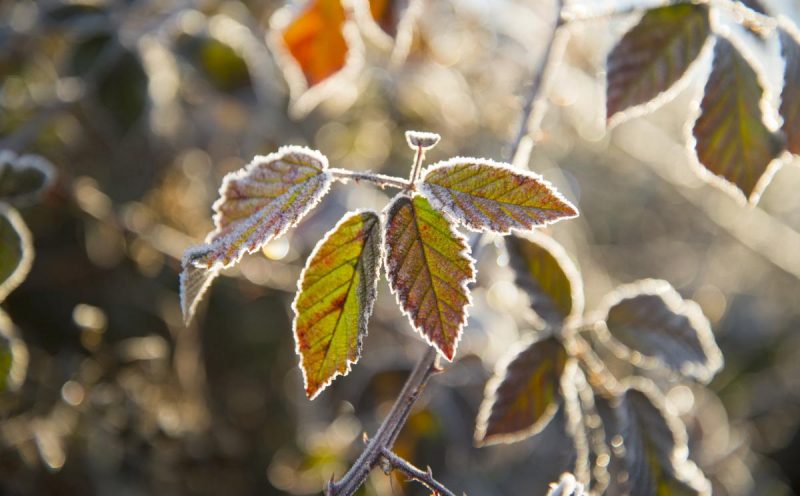 Будут ссоры и беда: что нельзя делать 30 октября - приметы