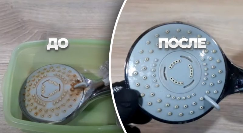 Она грязнее, чем вы думаете: как почистить лейку душа